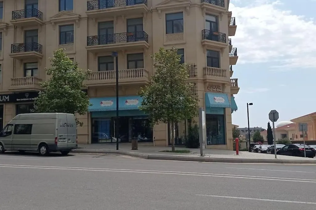 Flat In Baku Apartment